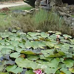 Vale Pisco Hébergement de vacances *