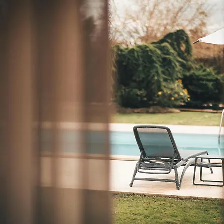 Vale Pisco * בומברל