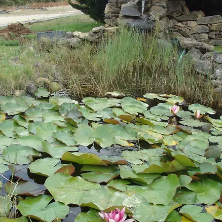 Vale Pisco Дом отдыха *