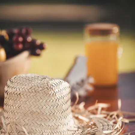 בית נופש Vale Pisco בומברל